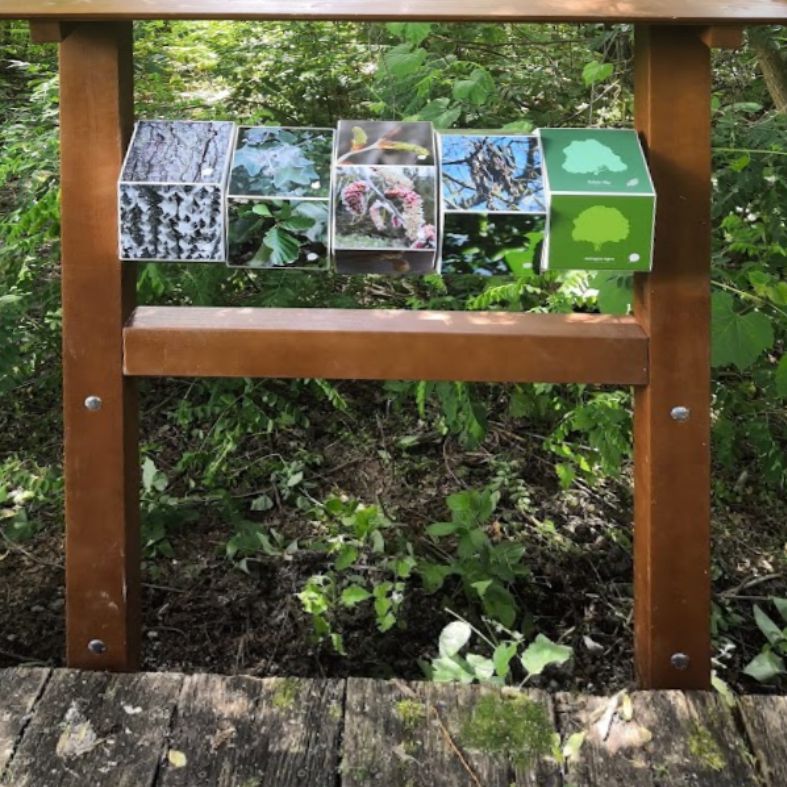 Panorámaforgató a növényekről