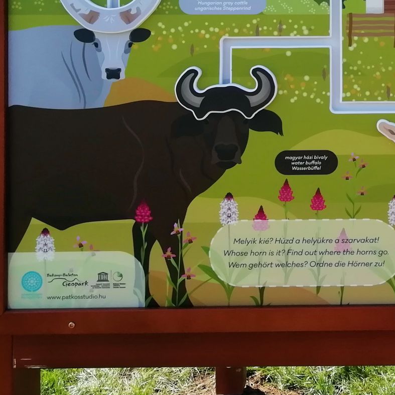 Vezesd a helyükre a szarvakat - interaktív tanösvénytábla - 3