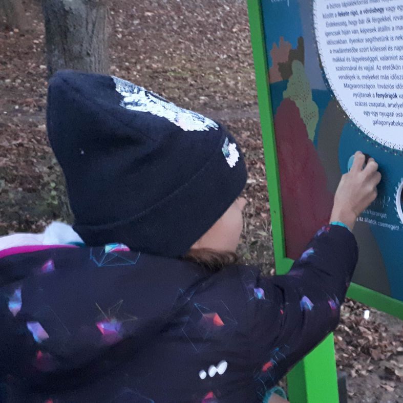 Milyen madarak élnek velünk? Forgasd el a gombot és megtudod! - 1