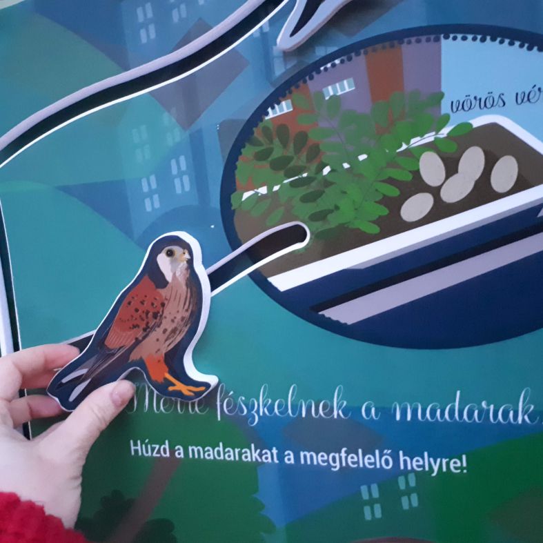 Vezess mindenkit a saját fészkére!