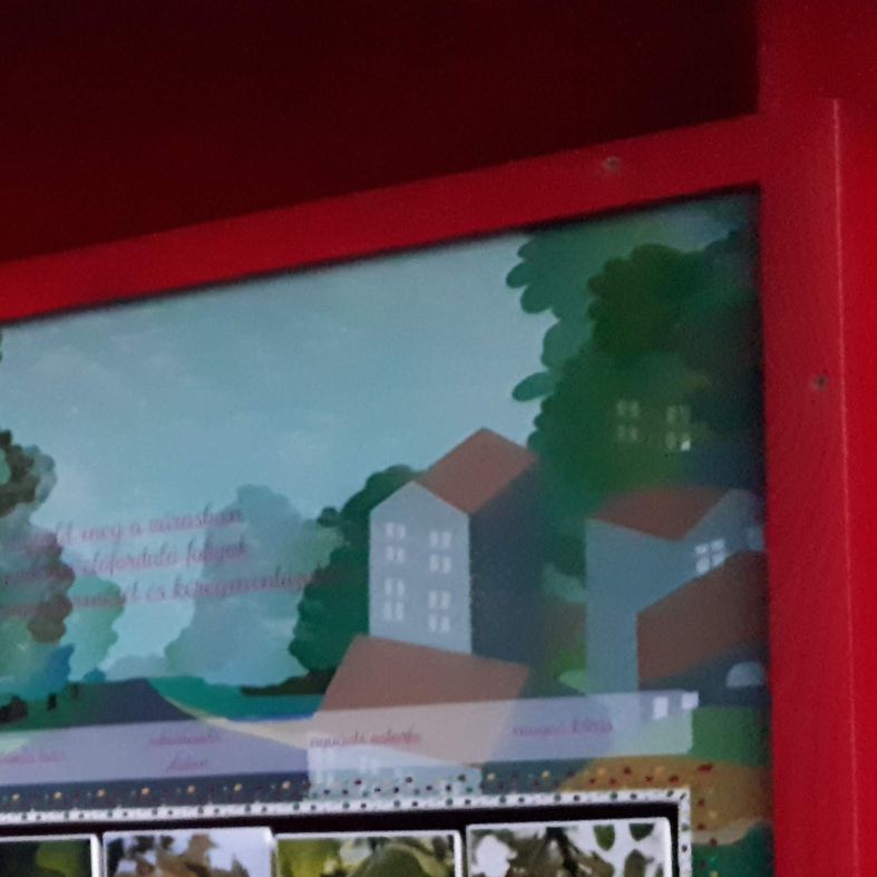 Ismerd meg a városi fákat! - interaktív tábla részlete - 2