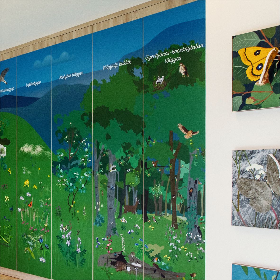 Az interaktív kiállítás - 3.