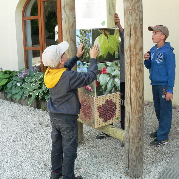 Ragazzi con la colonna ruotabile