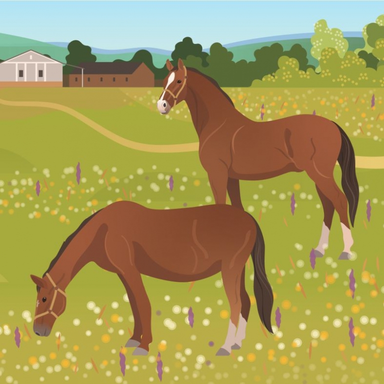 Detail from the graphics – Dettaglio della grafica - 2