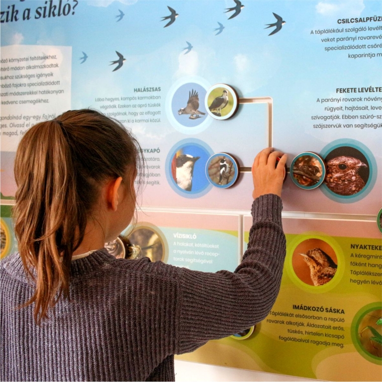 Interaktív tanösvénytábla - 3