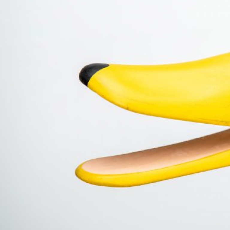 Tőkés réce csőr - 1