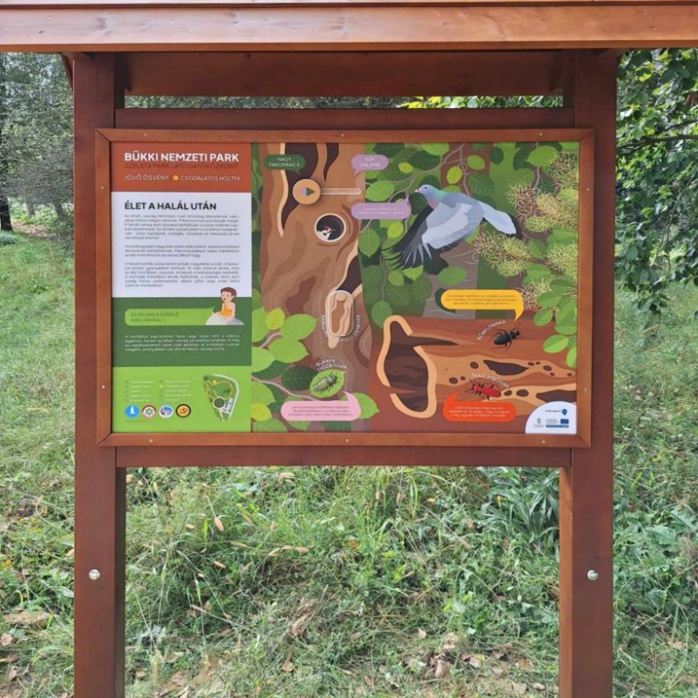 Interaktív tanösvénytábla a holtfákról