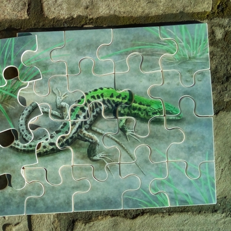 Puzzle játék fa dobozban  - 2