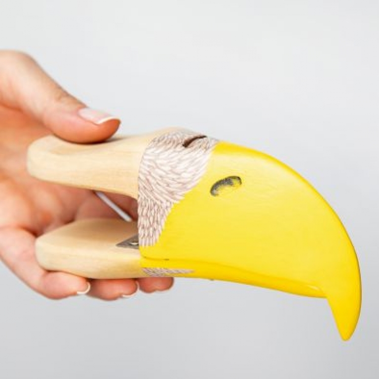 Wooden beak of white-tailed eagle - becco di legno di aquila grigia