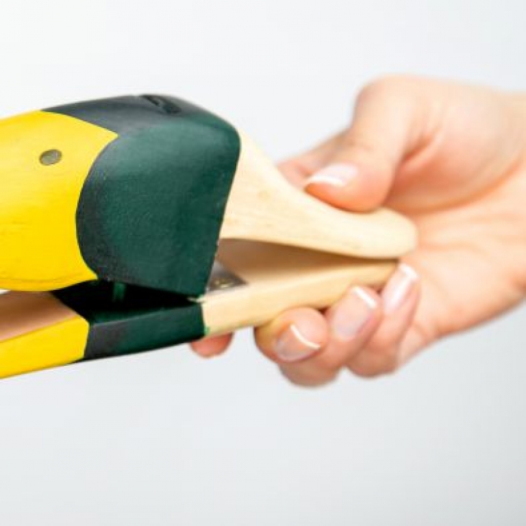 Tőkés réce csőr - 2