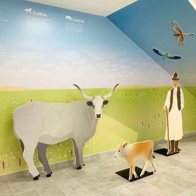 Fotózkodj pásztorral és szürkemarhákkal!