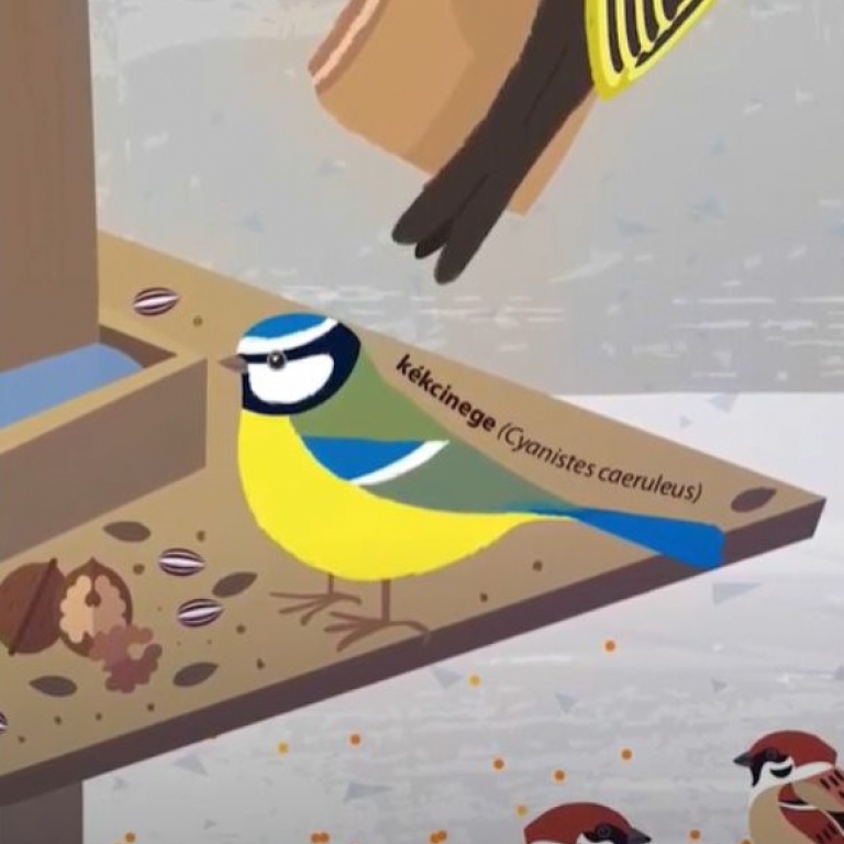 Embed Grafikus kollégáink varázslatos világa – részletek a Patkós Stúdió munkáiból