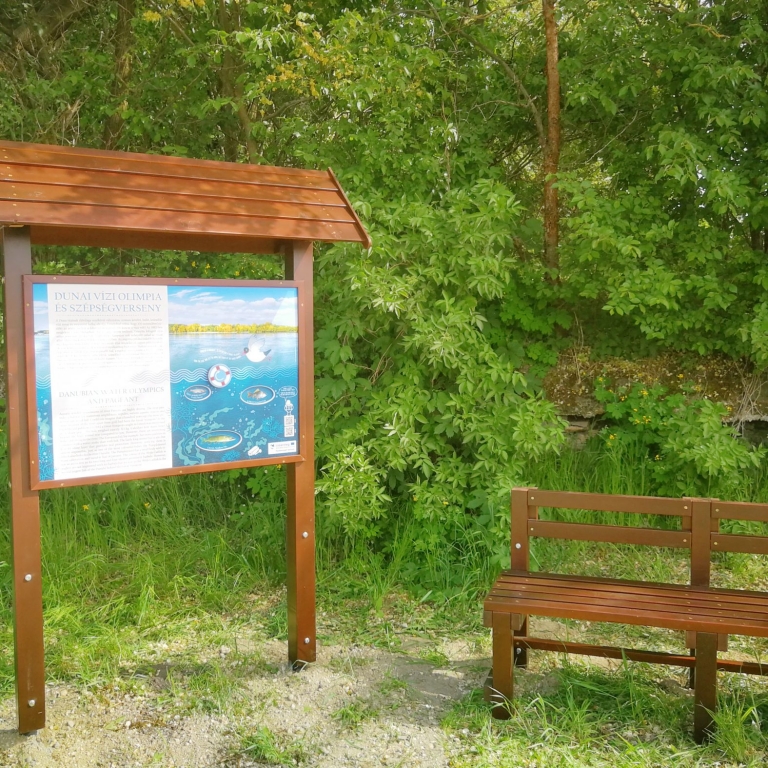 Interactive board on fishes - Pannello interattivo sui pesci