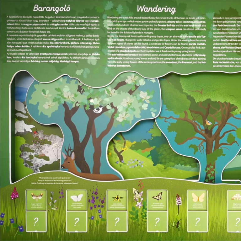 Interaktív kiállítás - 04