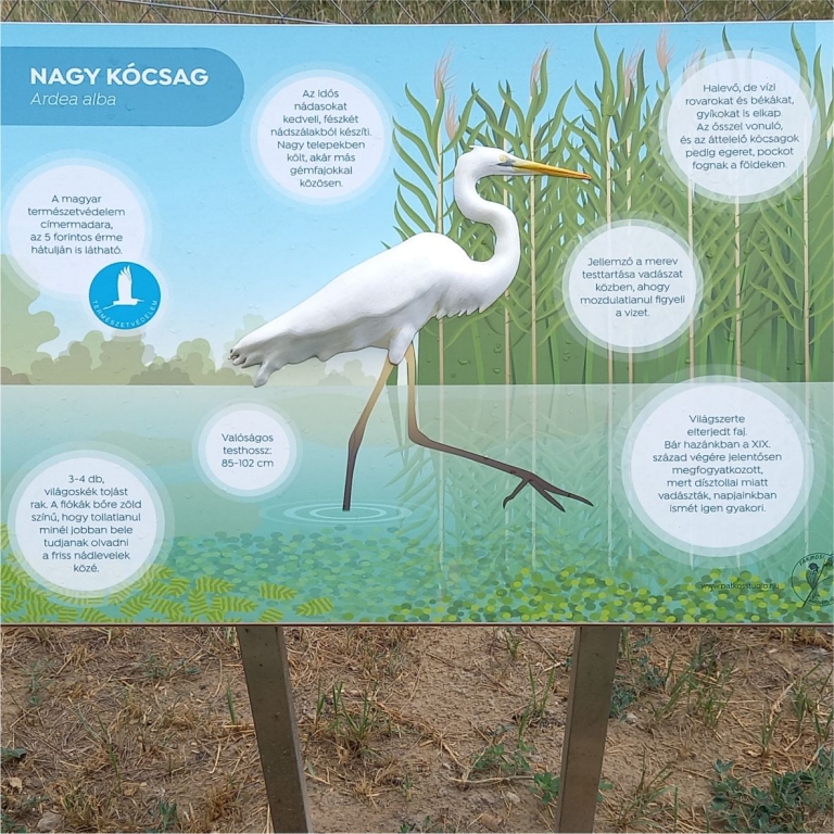 Tanösvénytábla 3D madárral - 3