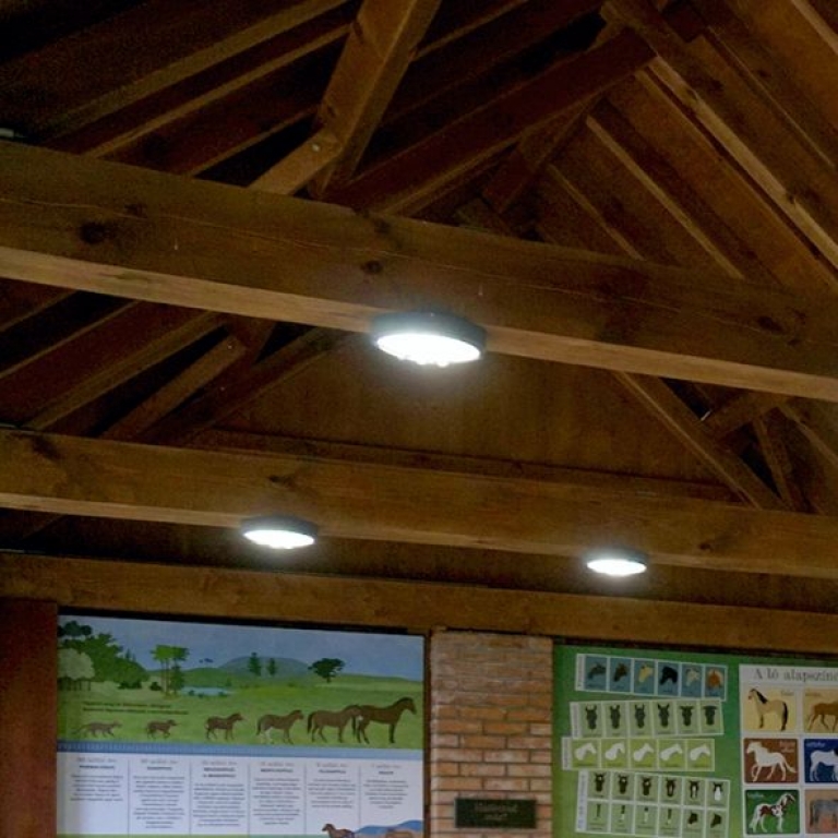 Az interaktív kiállítás részlete - 1