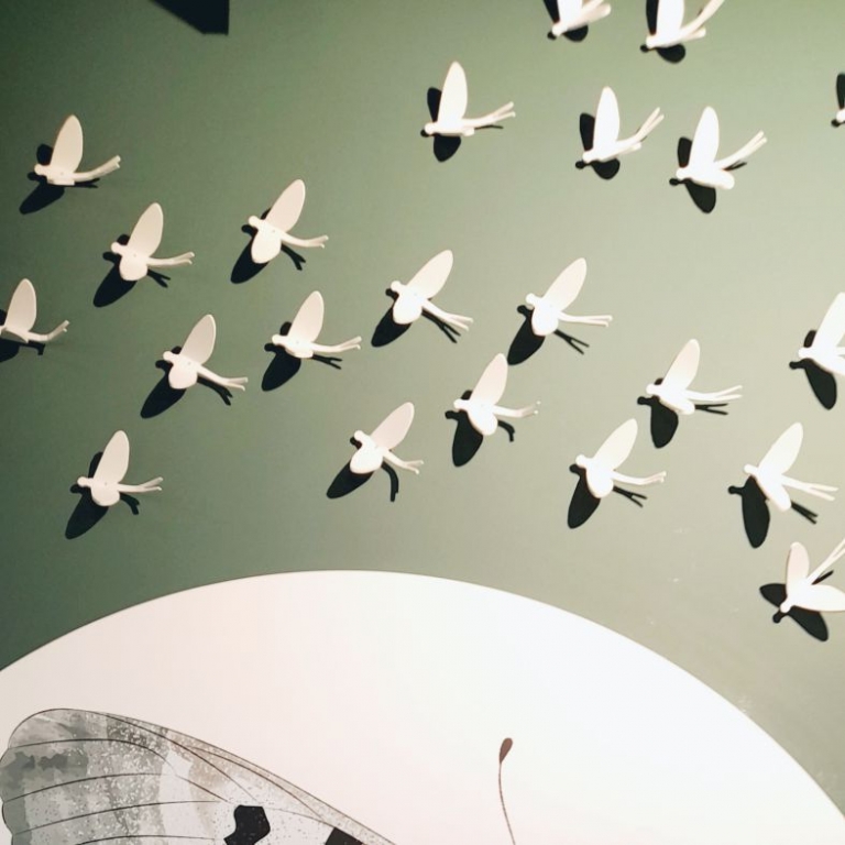 Installáció kérészekkel