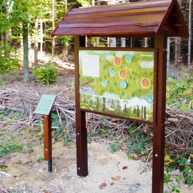 Interactive board with a map of the forest - Pannello interattivo con una mappa della foresta