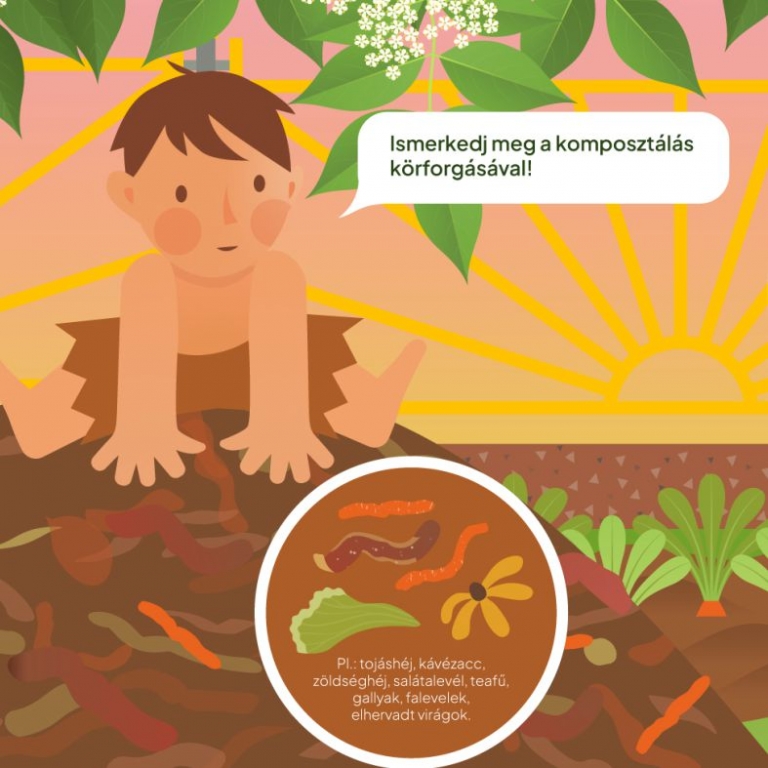 Hogyan komposztáljunk? - részlet a grafikából