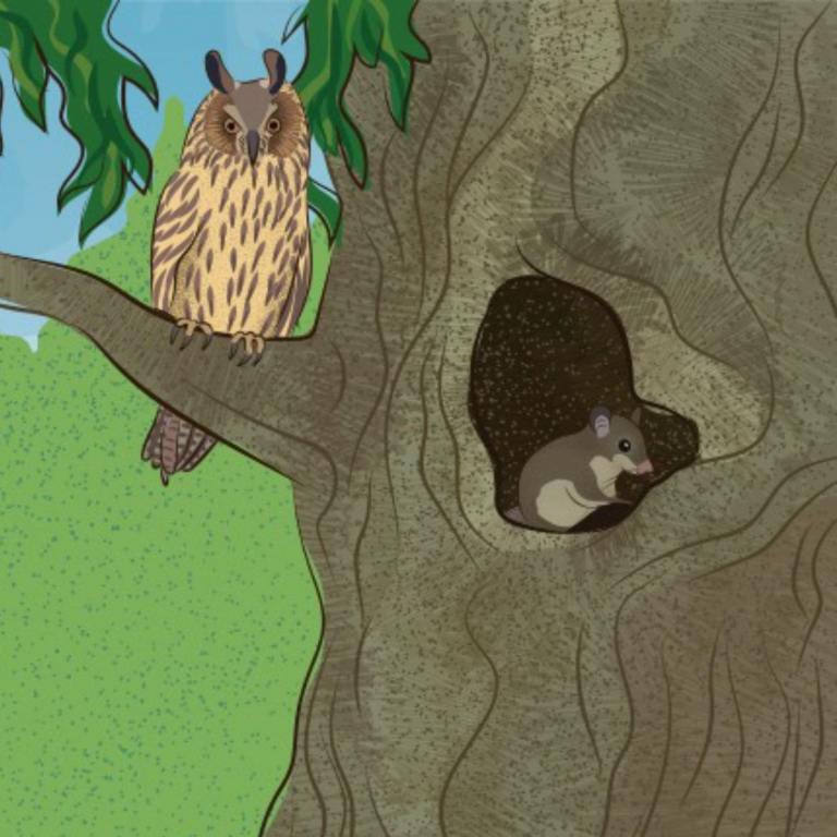 Graphic detail from the interactive wall - Dettaglio grafico della parete interattiva - 1