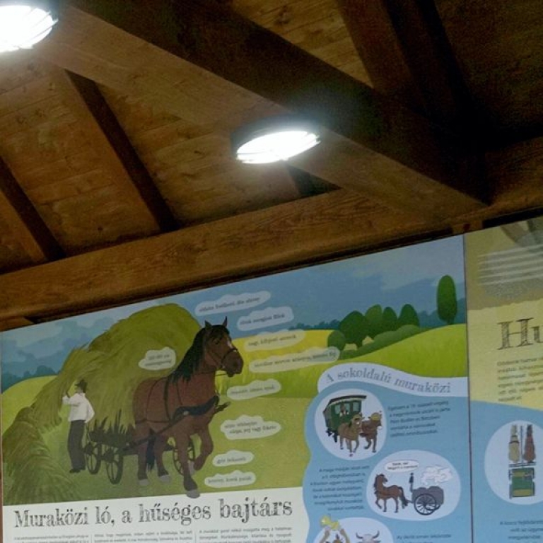 Az interaktív kiállítás részlete - 3