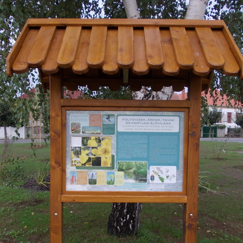 Folyóvizek, árkok, tavak és partjaik élővilága