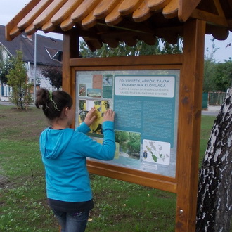 Vajon sikerül-e kirakni a tili-tolit?