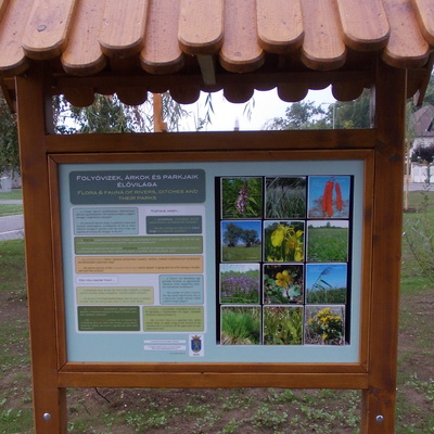 Folyóvizek, árkok és parkjaik élővilága