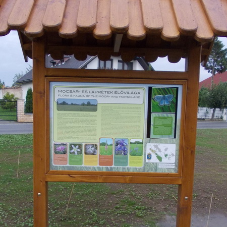 Mocsár és láprétek élővilága nagy háromszög forgatókkal