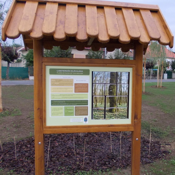 Ligeterdők élővilága háromszög forgatókkal