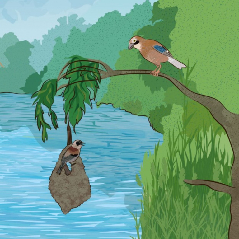 Graphic detail from the interactive wall - Dettaglio grafico della parete interattiva - 2