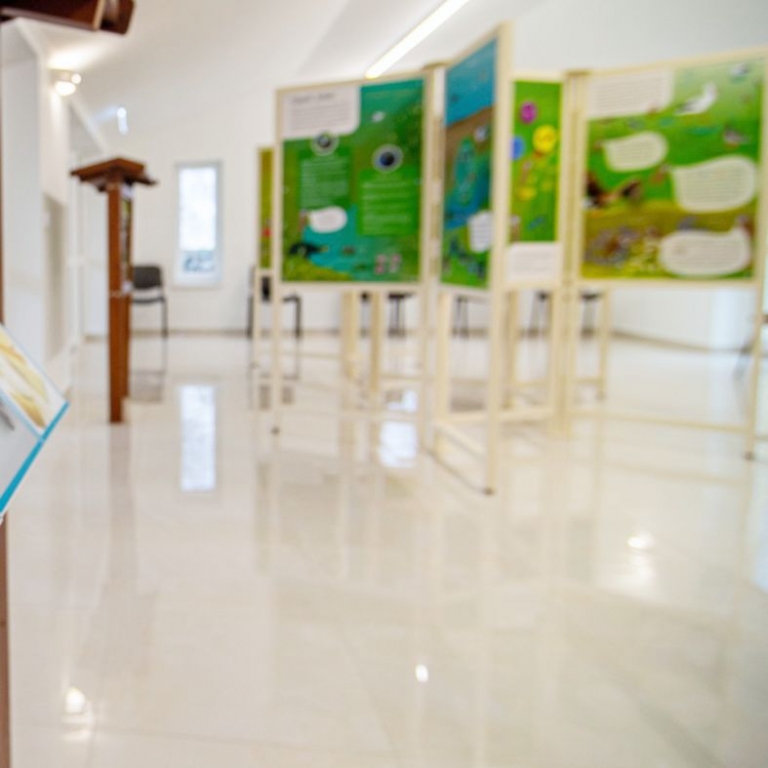 A kiállítás egy részlete