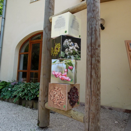 Óriás kockaforgató