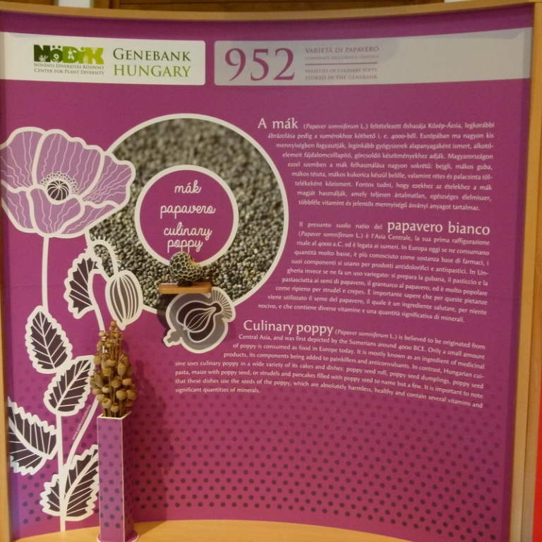 The board of the poppyseed