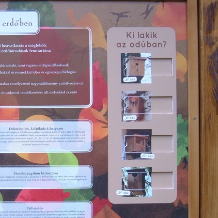 Elementi interattivi sul pannello informativo