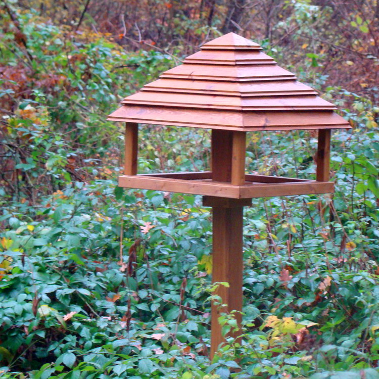 Una mangiatoia per uccelli sul sentiero