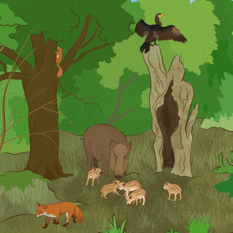 Graphic detail from the interactive wall - Dettaglio grafico della parete interattiva - 3