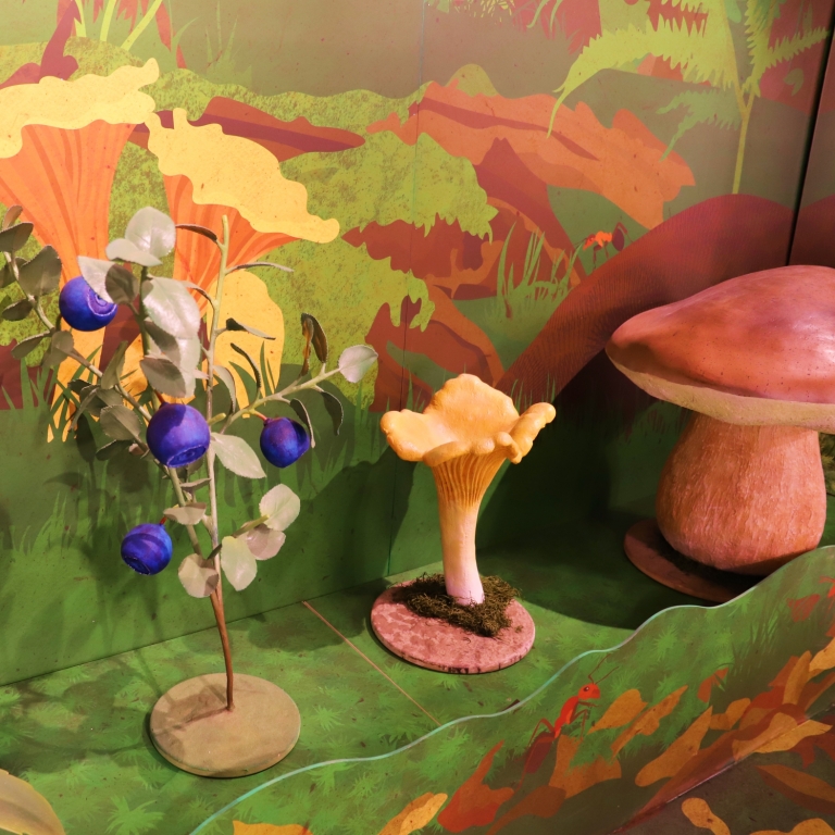 Mockups of mushrooms and plants - Modelli di funghi e piante