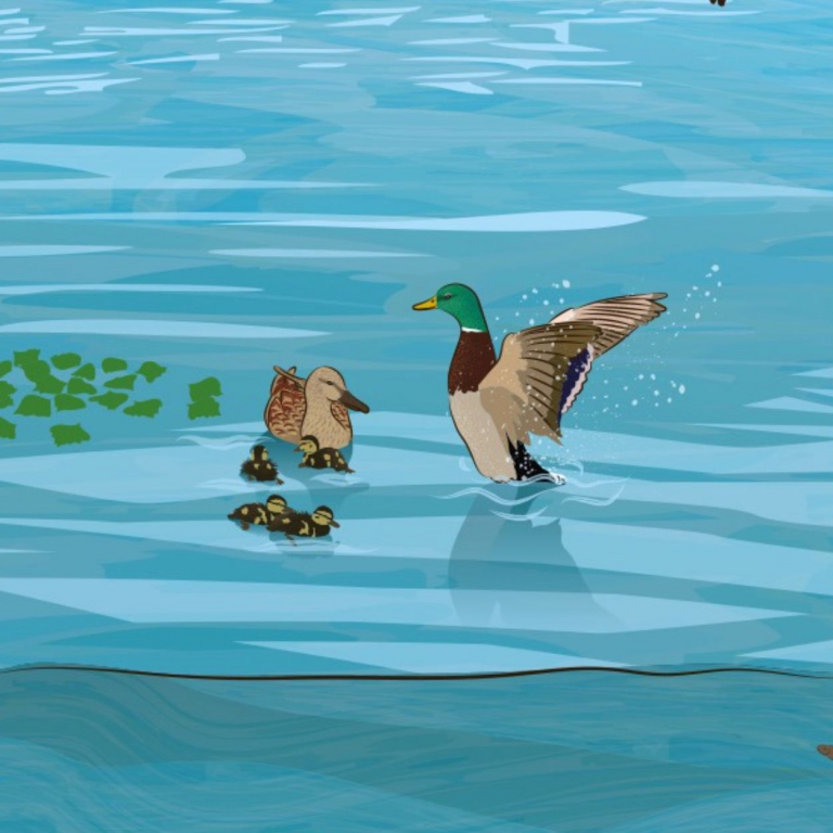 Graphic detail from the interactive wall - Dettaglio grafico della parete interattiva - 4