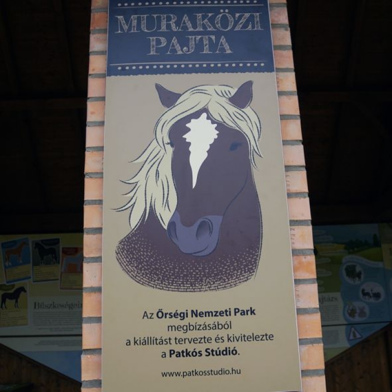 A kiállítás bejárata