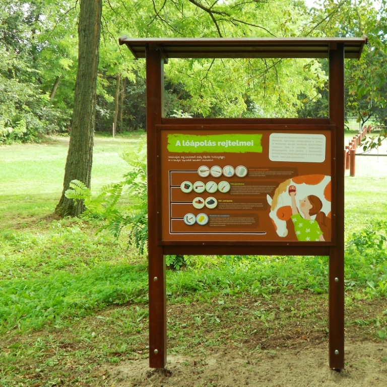 Pannello interattivo sulla cura dei cavalli - Interactive board on horse care