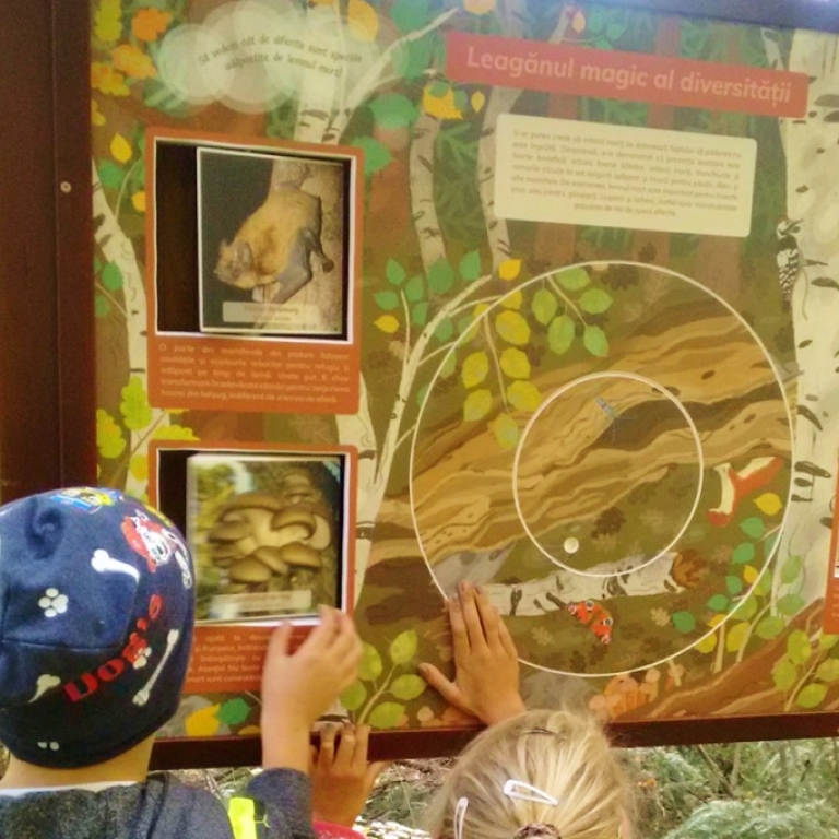 Interactive board on the dead wood – Pannello interattivo sul legno morto