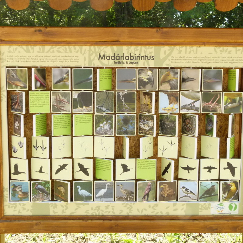 Pannello interattivo con piú di 60 elementi interattivi