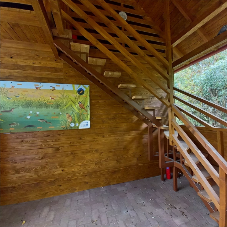 A Madárvárta belső tere