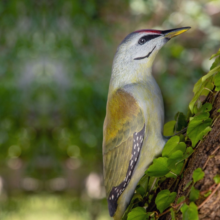 Embed Our 3D models - I nostri modelli 3D