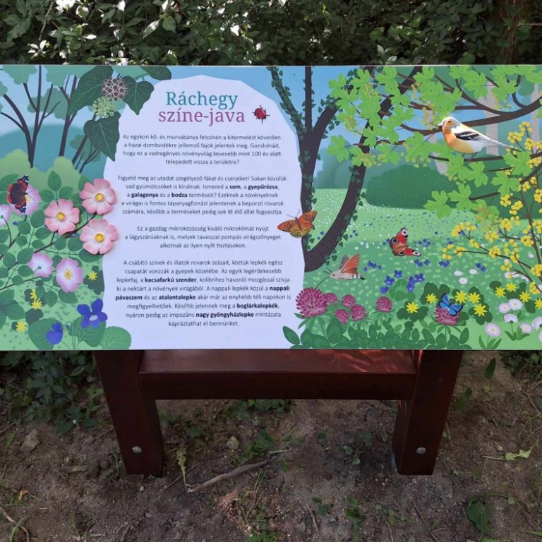 Tanösvénytábla 3D elemekkel