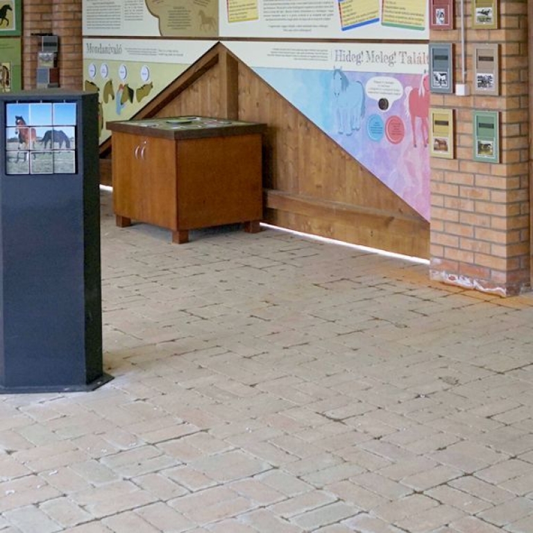 Az interaktív kiállítás részlete - 5