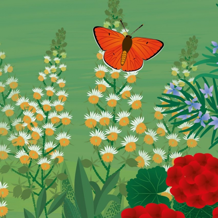 Mikszáth kedves virágait bemutató tábla az Emlékház udvarán - 1