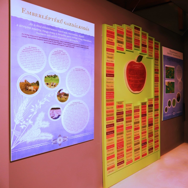 Part of the exhibition - Una parte della mostra