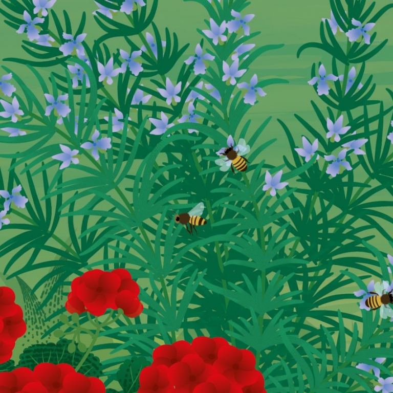 Mikszáth kedves virágait bemutató tábla az Emlékház udvarán - 2